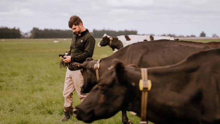 Cow Monitoring US