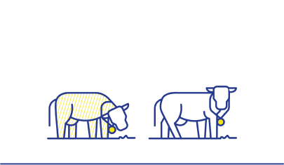 How it works step 1