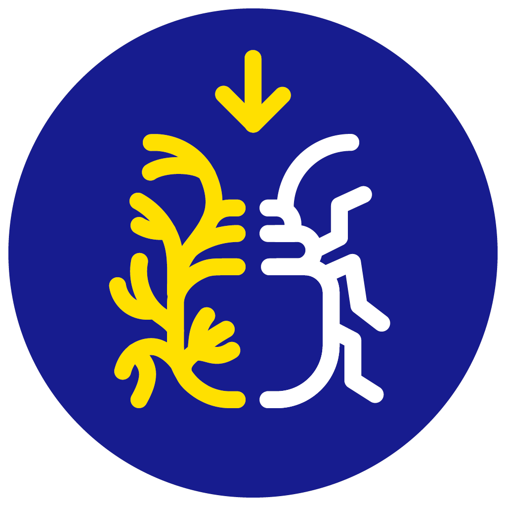 Reduces algae