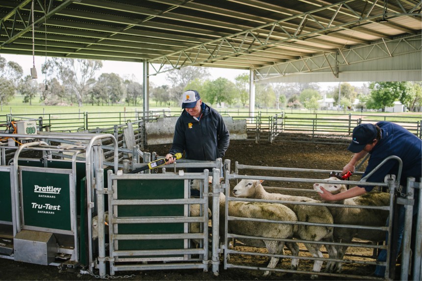 Handling Category Banner