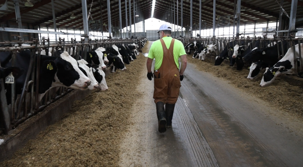 Pickart Dairy