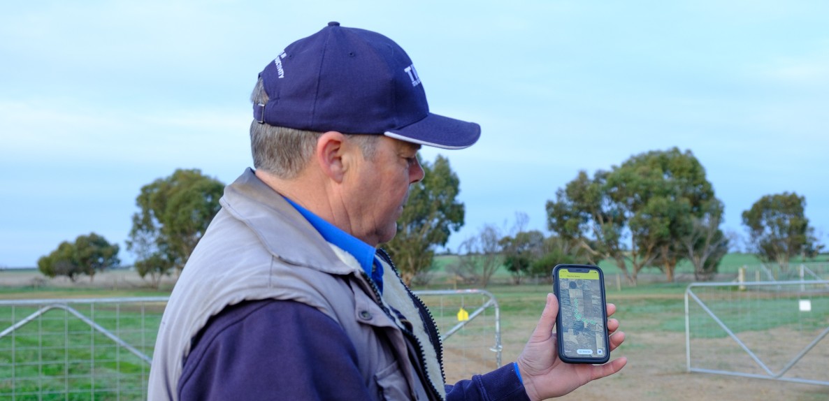 Fence Monitoring
