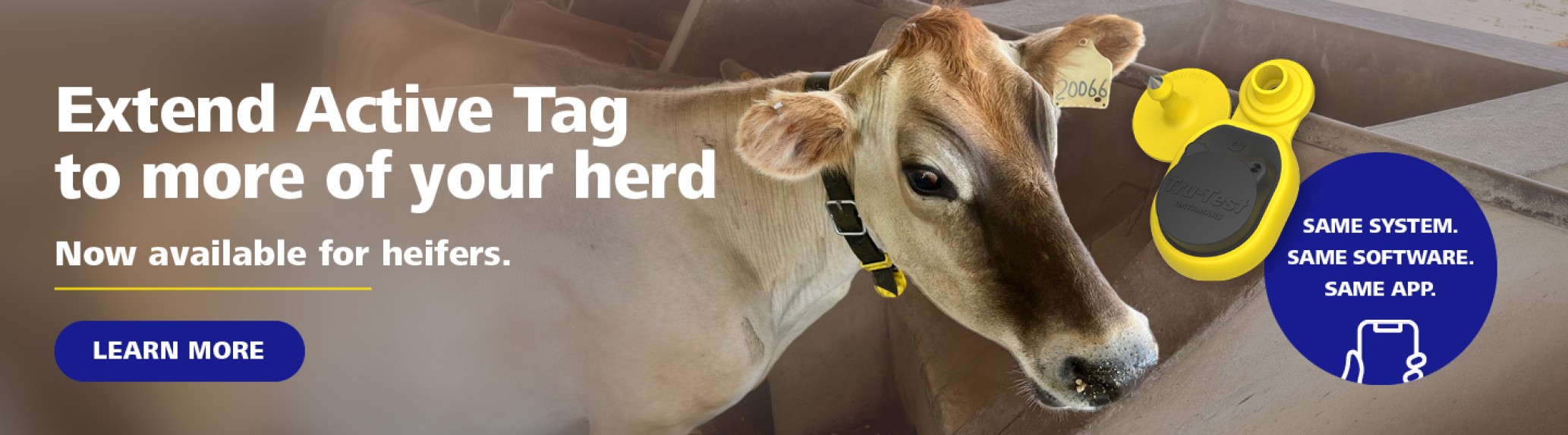 Banner Extend Active Tag to more of your herd