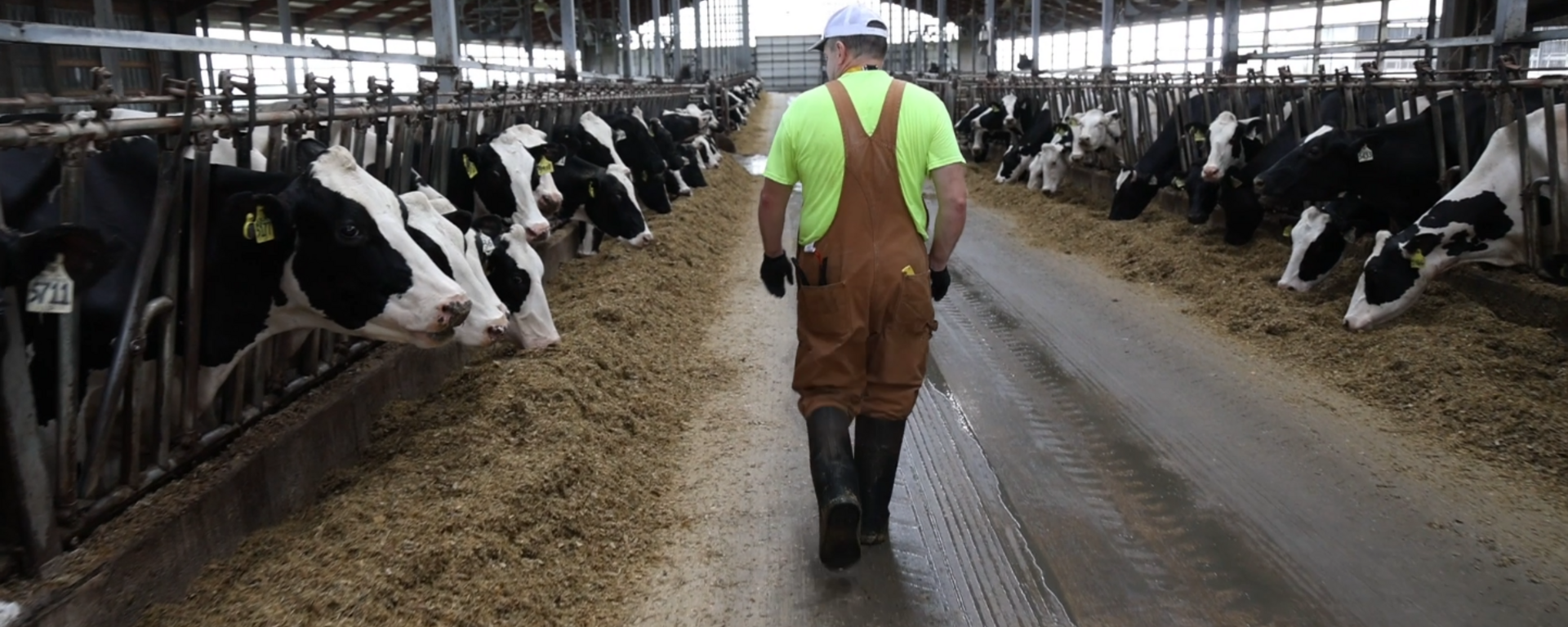 Pickart Dairy